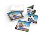 SMARTBOX - Coffret Cadeau Séjour au ZooParc de Beauval en 2025 -  Séjour
