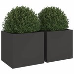 vidaXL Jardinières 2 Pièces noir 49x47x46 cm acier laminé à froid