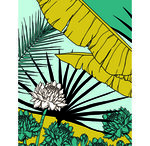 Design Home Book, 13 x 17 cm, Plantes CLAIREFONTAINE