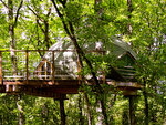 SMARTBOX - Coffret Cadeau 3 jours en famille dans une cabane dans les arbres au cœur de la campagne charentaise -  Séjour