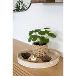 Plante artificielle Pilea plante à monnaie chinoise verte 28 cm