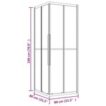 vidaXL Cabine de douche ESG dépoli 80x80x180 cm Noir