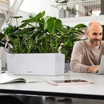 LECHUZA Jardinière BALCONERA Stone 50 ALL-IN-ONE Blanc quartz
