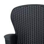 vidaXL Chaises de jardin lot de 2 avec coussin Anthracite Plastique