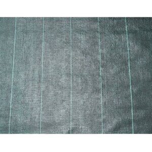 Nature Bâche de sol de contrôle des mauvaises herbes 3 3x5 m Noir