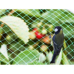 Filet anti-oiseaux  polyester  maillage 2 cm²  4 x 10 m  vert