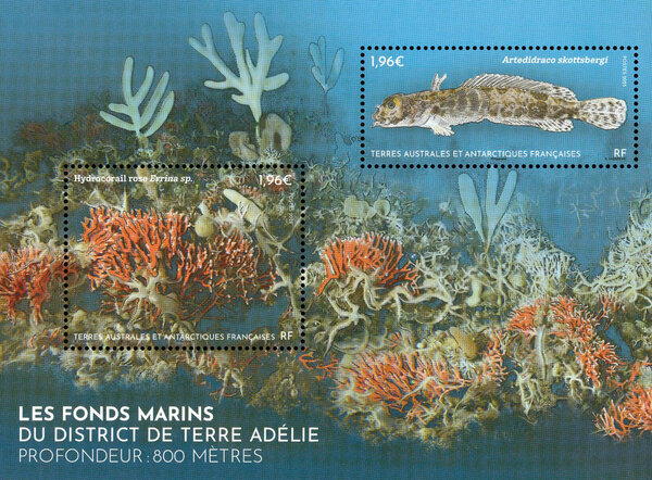 Bloc de 2 timbres TAAF - Les fonds marins du district de Terre Adélie - Profondeur : 800 mètres
