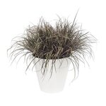 Pot de fleurs rond avec roues Loft Urban Ø 40 cm - Blanc