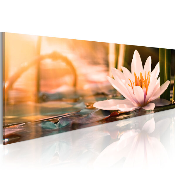 Tableau - beautiful lotus l x h en cm 150x50