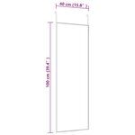 vidaXL Miroir de porte Noir 40x100 cm Verre et aluminium