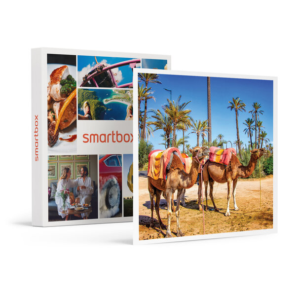 SMARTBOX - Coffret Cadeau 3 jours en riad avec hammam et excursion en dromadaire dans la Palmeraie de Marrakech -  Séjour