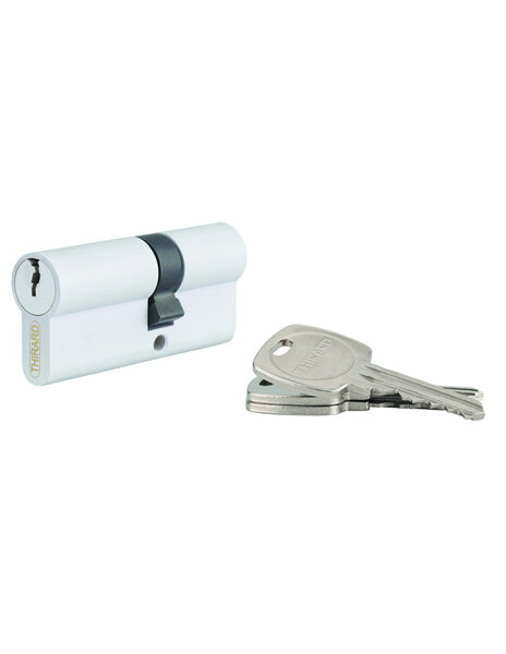 THIRARD - Cylindre STD double entrée  30 x 40 mm anti-arrachement  blanc  3 clés