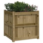 vidaXL Jardinières 2 Pièces bois de pin imprégné