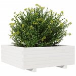 vidaXL Jardinière blanc 70x70x26 5 cm bois de pin massif