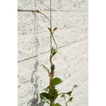 Nature Ensemble de treillis métallique pour plantes grimpantes 6040760