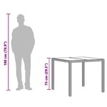 vidaXL Table de jardin avec dessus en verre marron résine tressée