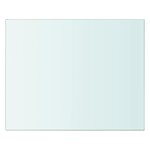 vidaXL Panneau pour étagère Verre transparent 20 x 25 cm