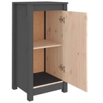 vidaXL Buffets 2 Pièces gris 39x35x80 cm bois massif de pin