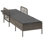 vidaXL Transat Gris et gris foncé Rattan PE 157 x 55 x 92 cm Transat