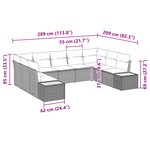 vidaXL Ensemble de Canapé de Jardin de 9 Pièces avec Coussins Noir Rattan Poly Acacia
