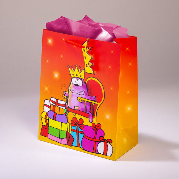 Sac cadeau star of the day mml 20 x h 25 chat
