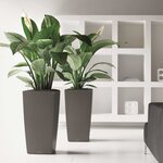 Lechuza jardinière cubico 50 all-in-one charbon 18164