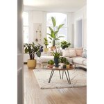 Pot de fleurs Rond VIBES - Plastique - Ø 25 - Bleu Foncé