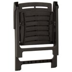 vidaXL Chaises de jardin lot de 2 Plastique Anthracite