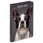 Agenda De Poche 2025 - Chien - Draeger paris