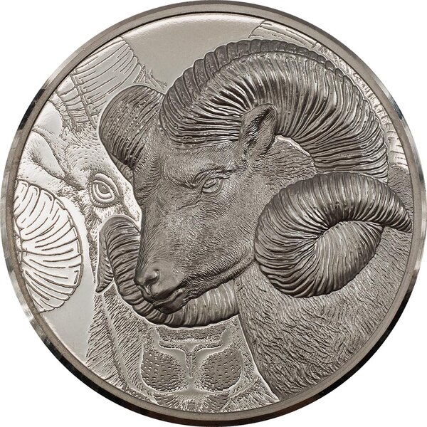 Pièce de monnaie en Platine 25000 Togrog g 31.1 (1 oz) Millésime 2022 Wild Mongolia MAGNIFICENT ARGALI