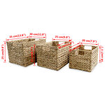 vidaXL Panier de rangement 3 Pièces Jacinthe d'eau