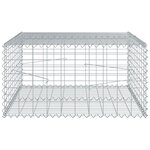 vidaXL Panier gabion avec couvercle 100x100x50 cm fer galvanisé