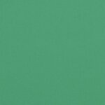 vidaXL Coussins de chaise jardin lot de 2 vert 40x40x3 cm tissu oxford