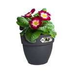 Pot de fleurs Small - Anthracite - Balcon extérieur - 24.1 x 20.5 x 26.5 cm