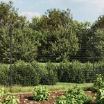 vidaXL Clôture en treillis métallique avec bride anthracite 1 6x25 m