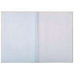 Manifold Quadrillé 5x5 29 7x21cm 50 Feuillets Dupli Autocopiants - X 5 - Exacompta