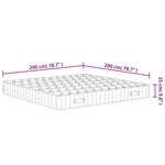 vidaXL Matelas à ressorts ensachés dureté moyenne 200x200 cm