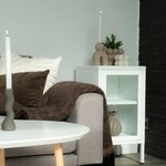 Armoire blanche avec porte en verre