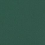 vidaXL Auvent latéral rétractable vert foncé 160x500 cm