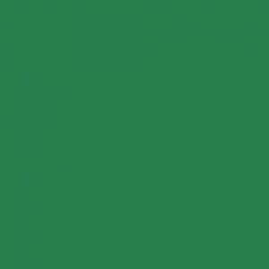 Paquet de 25 feuilles Cartoline 50 x 65 cm 120 g vert foncé