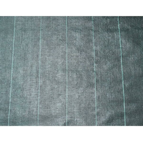 Nature Bâche de sol de contrôle des mauvaises herbes 3 3x5 m Noir