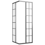 vidaXL Cabine de douche ESG dépoli 80x80x180 cm Noir