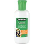 Colle à WePam Cléocol 100 g