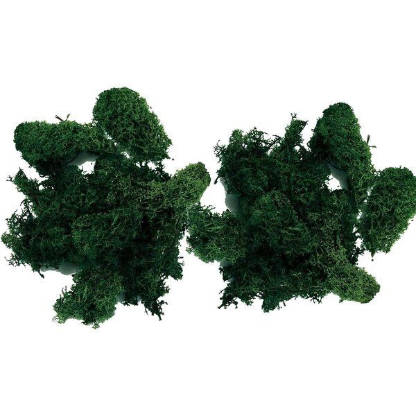 Mousse d'Islande vert foncé 200 g