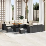 Ensemble de Canapé de Jardin 13 Pièces avec Coussins Noir Poly Rattan Acacia
