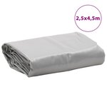 vidaXL Bâche gris 2 5x4 5 m 650 g/m²