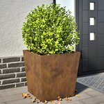 vidaXL Jardinières 2 Pièces 50x50x50 cm acier corten