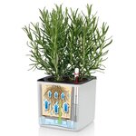 Lechuza jardinière de table cube color 16 all-in-one blanc