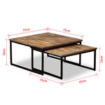 vidaXL Ensemble de table basse gigogne 2 Pièces Teck massif récupération