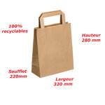 Lot de 25 sacs cabas en papier kraft brun marron havane avec poignée plate 320 x 220 x 280 mm 19 Litres résistant papier 80g/m² non imprimé